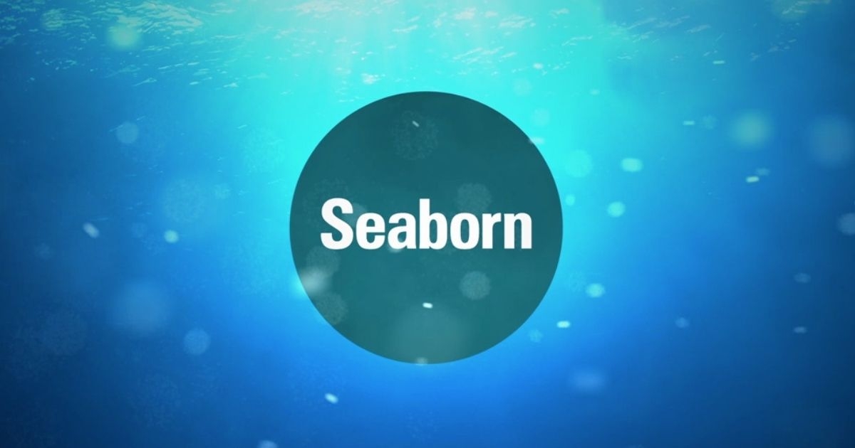 Seaborn Networks Appoints General Counsel and CFO