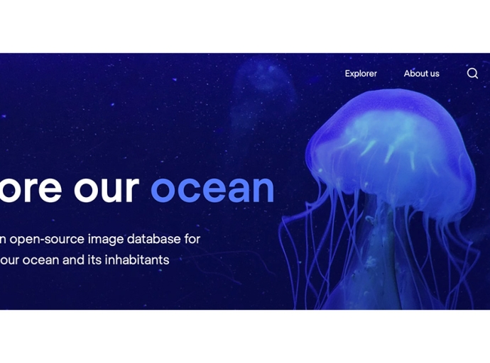 Introducing FathomNet: New Open-Source Image Database Unlocks the Power of AI for Ocean Exploration