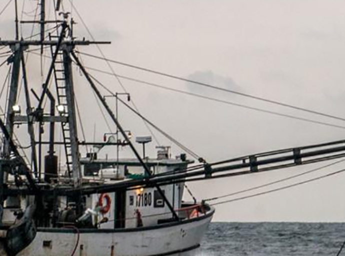 BOEM and NOAA Announce Joint Strategy for Fisheries Surveys