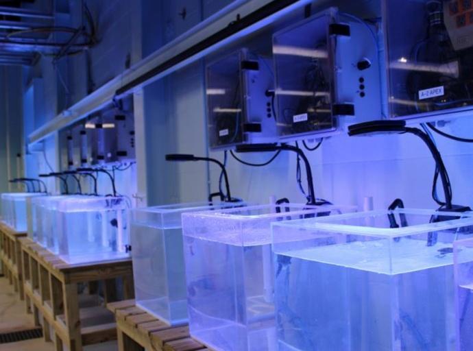 Dauphin Island Sea Lab Opens State-of-Art Water-Based Research Facility in Alabama