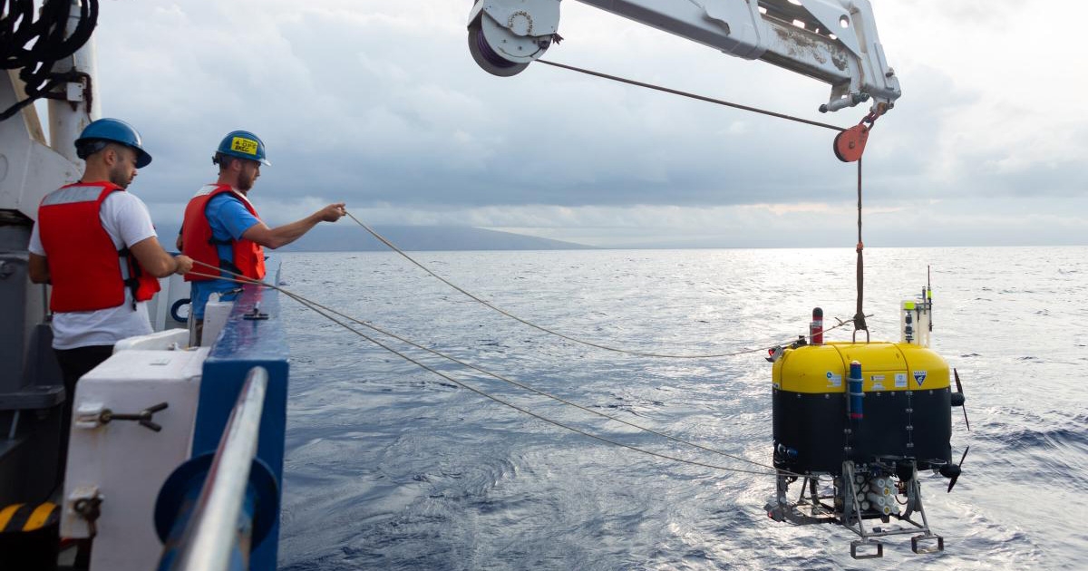 INCREASING THE PACE OF OCEAN EXPLORATION THROUGH MULTI-VEHICLE COLLABORATION