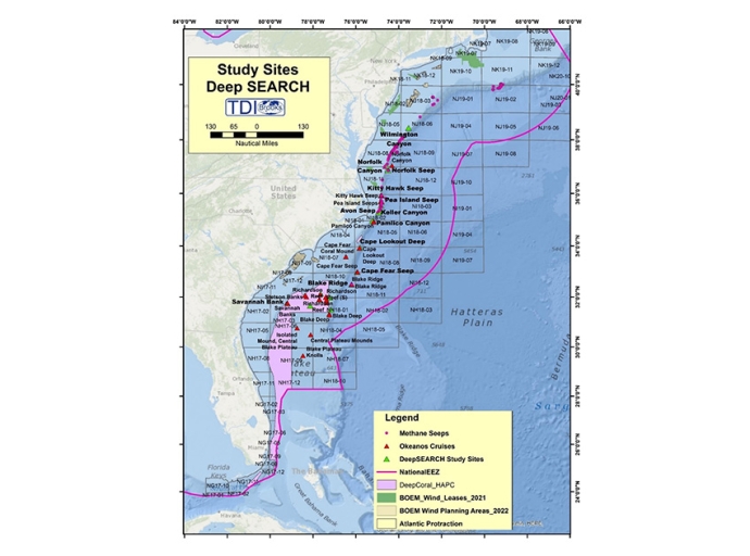 TDI-Brooks Completes Final Report for Deepwater Atlantic Habitats II