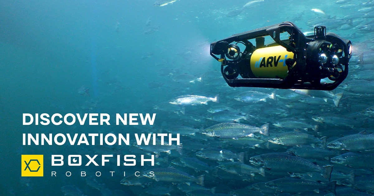 Boxfish Research Renames to Boxfish Robotics