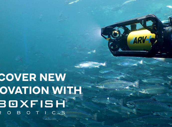 Boxfish Research Renames to Boxfish Robotics