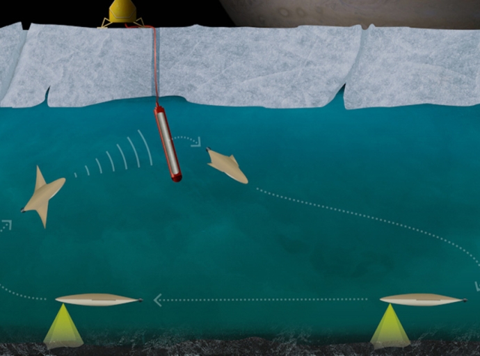 Between Outer Space and Antarctica: Miniature Robots to Carry Out Research Below the Ice