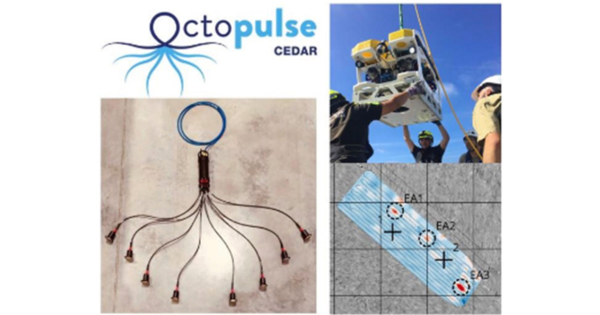 ELWAVE Deploys its ‘Octopulse’ Subsea Electromagnetics Sensor for Buried UXO Survey