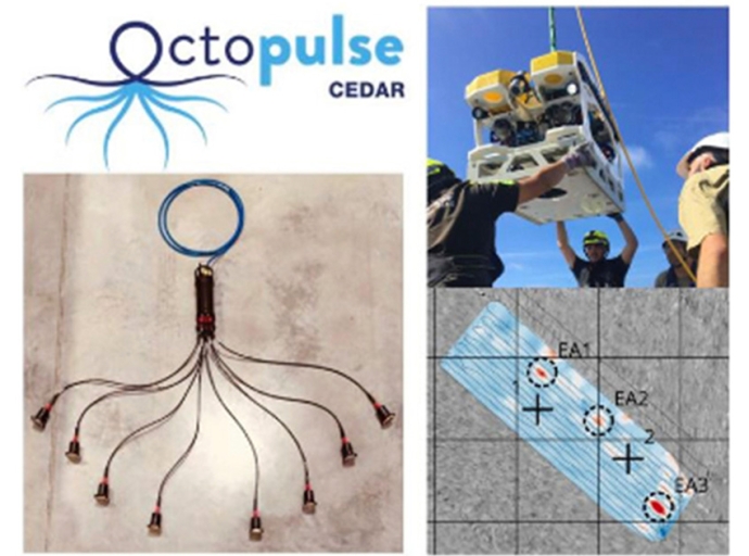 ELWAVE Deploys its ‘Octopulse’ Subsea Electromagnetics Sensor for Buried UXO Survey
