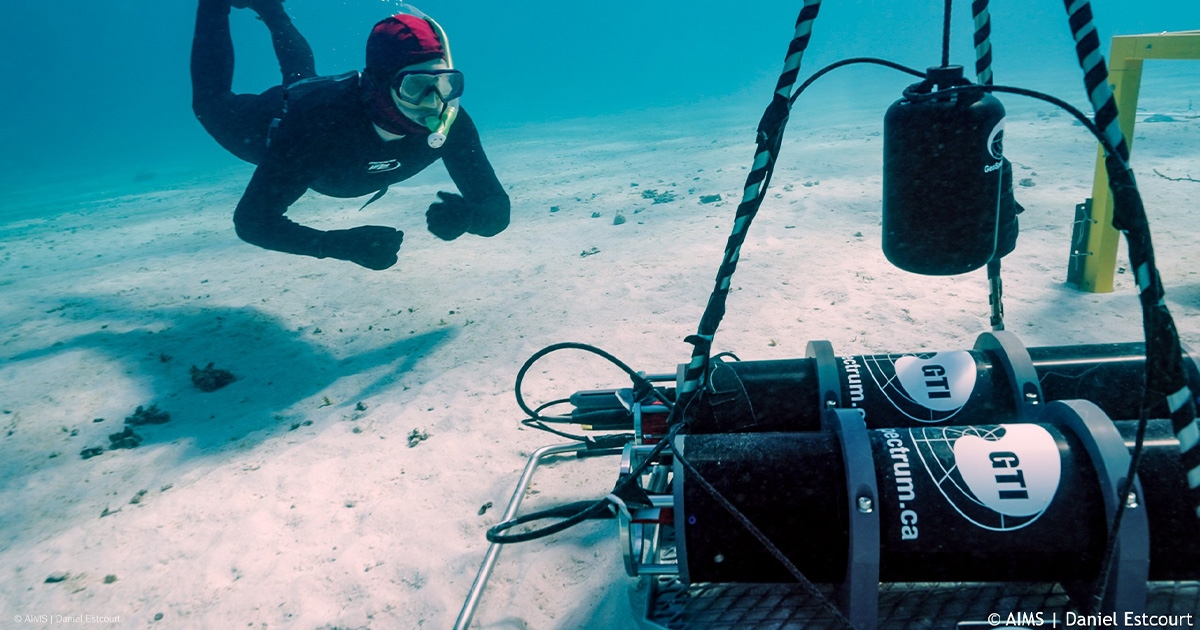 Particle Motion Sensors: Going Beyond the Motion in the Ocean