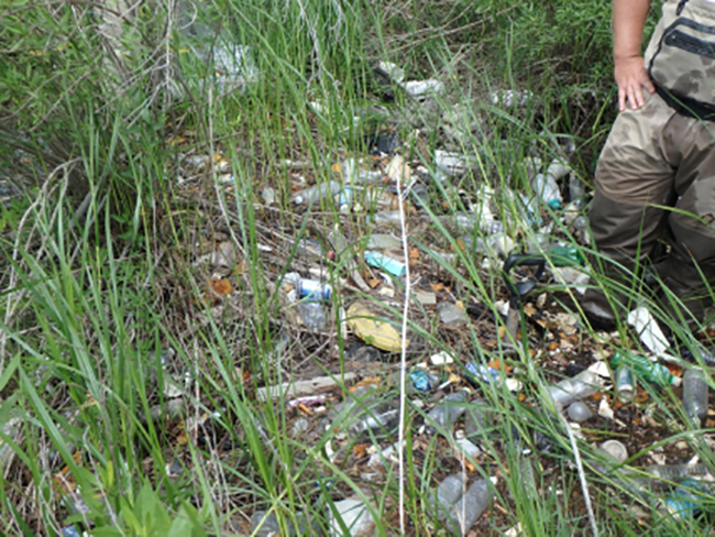 2 Plastic debris litters marsh Alabama Dauphin Island Sea Lab NOAA