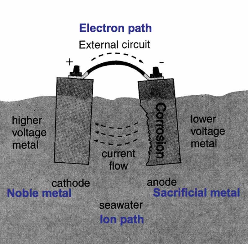 Fig3