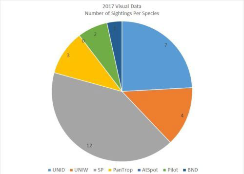 2Chart