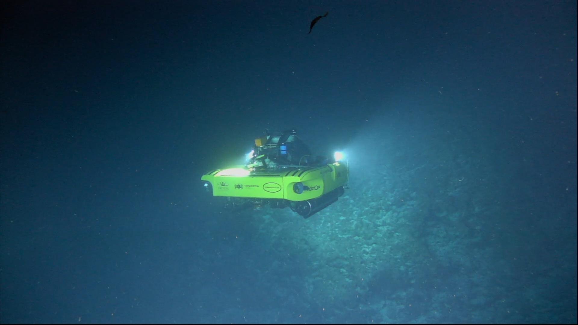 2 Submersible equipped with Teledyne Bowtech lights and cameras deep dive