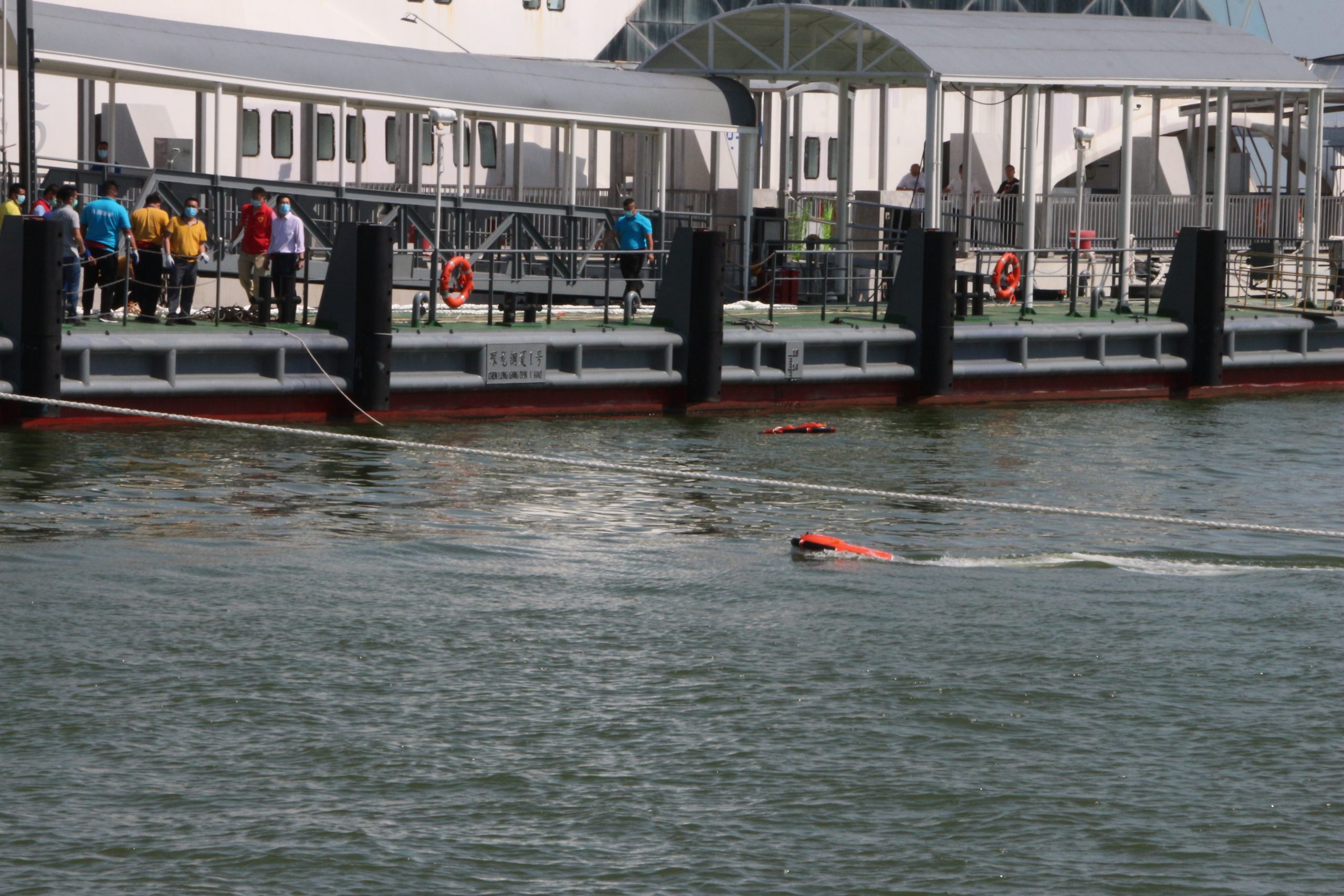 3 Dolphin 1 sailing in the port