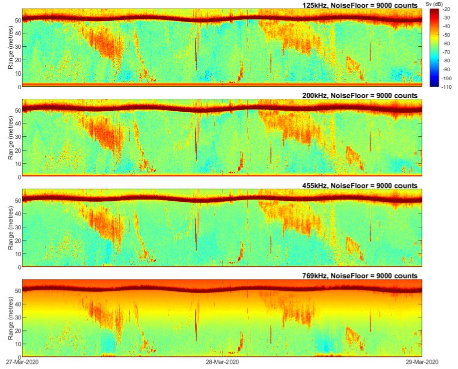 2 Backscatter data