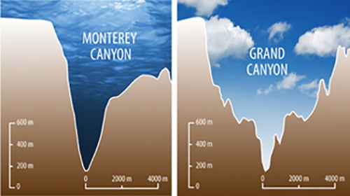 2 canyon comparision