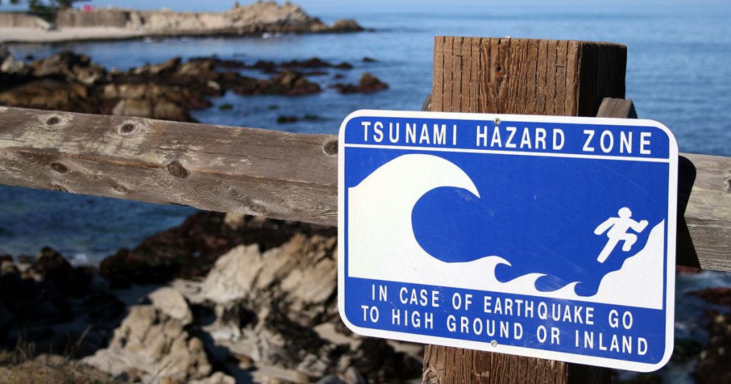 Tsunami Observation