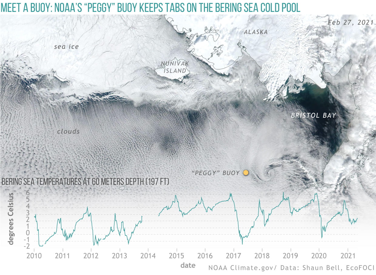 3 beringsea npp feb2021 peggy 1240