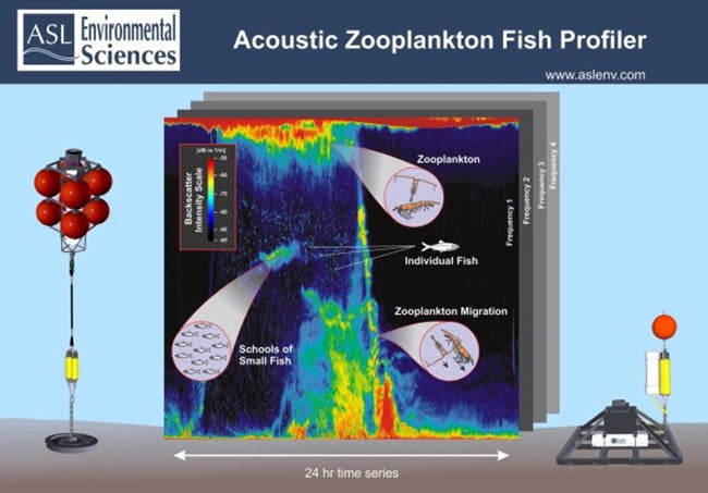 1 AZFP Diagram Award