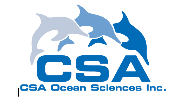 CSA logo