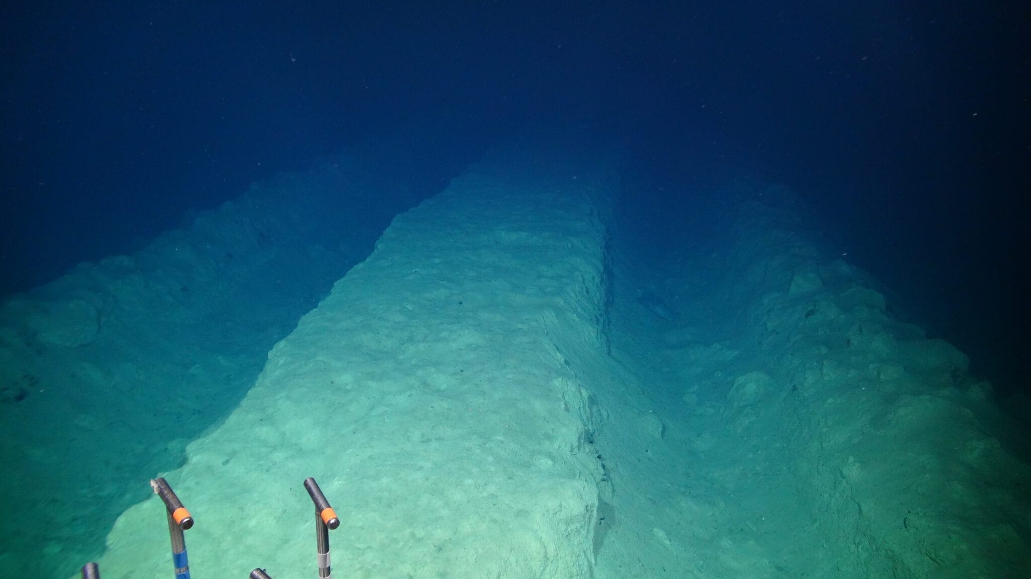 New Study Reveals Long-Term Impacts Of Deep-Sea Mining And First Signs ...