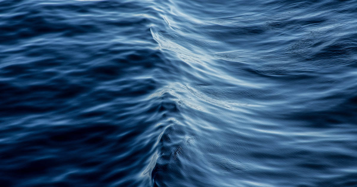https://oceannews.com/wp-content/uploads/2025/07/AdobeStock_553042204.jpeg