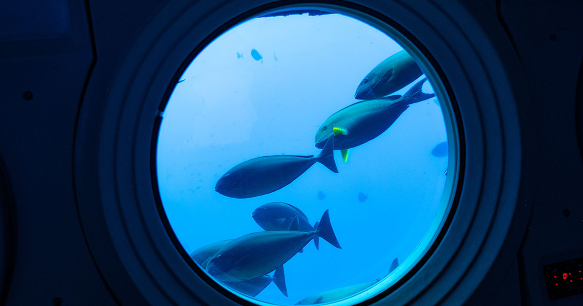 International Submarine Symposium Heads to Hamburg in September 2026