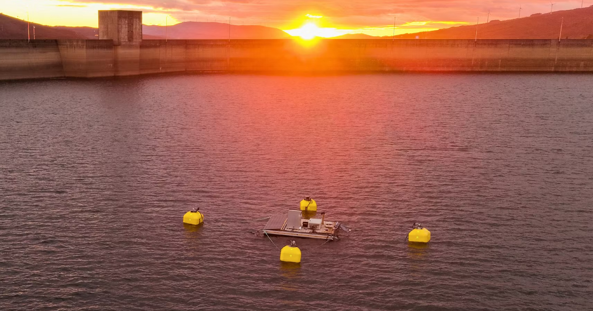 Pilot installation of four automatic Tension Buoy units.