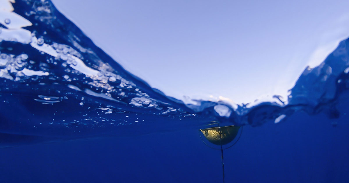 CeNCOOS Team Publishes New Strategic Plan for Sharing Ocean Data