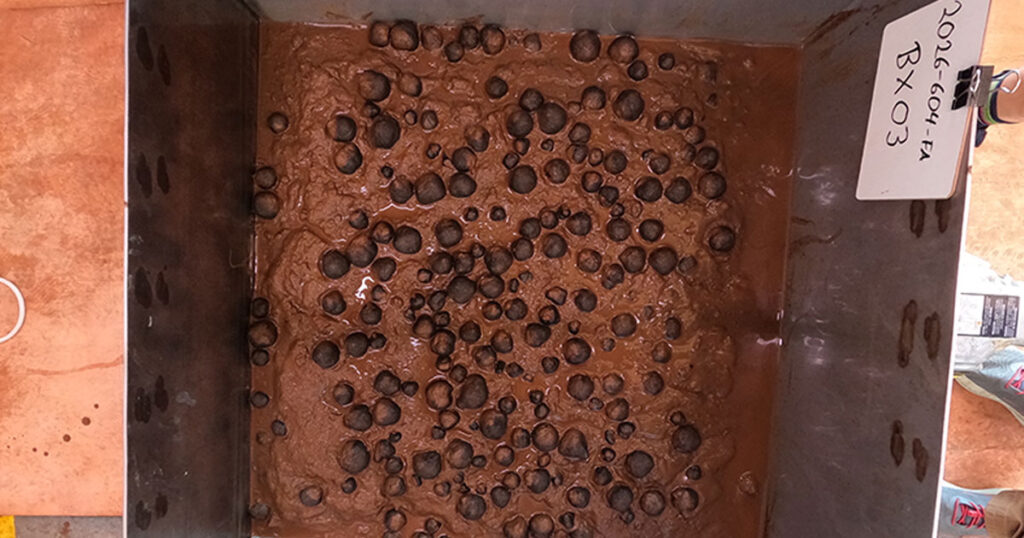 Image of geological samples from the seafloor that were collected via box core on April 14, 2026, in US waters off American Samoa.