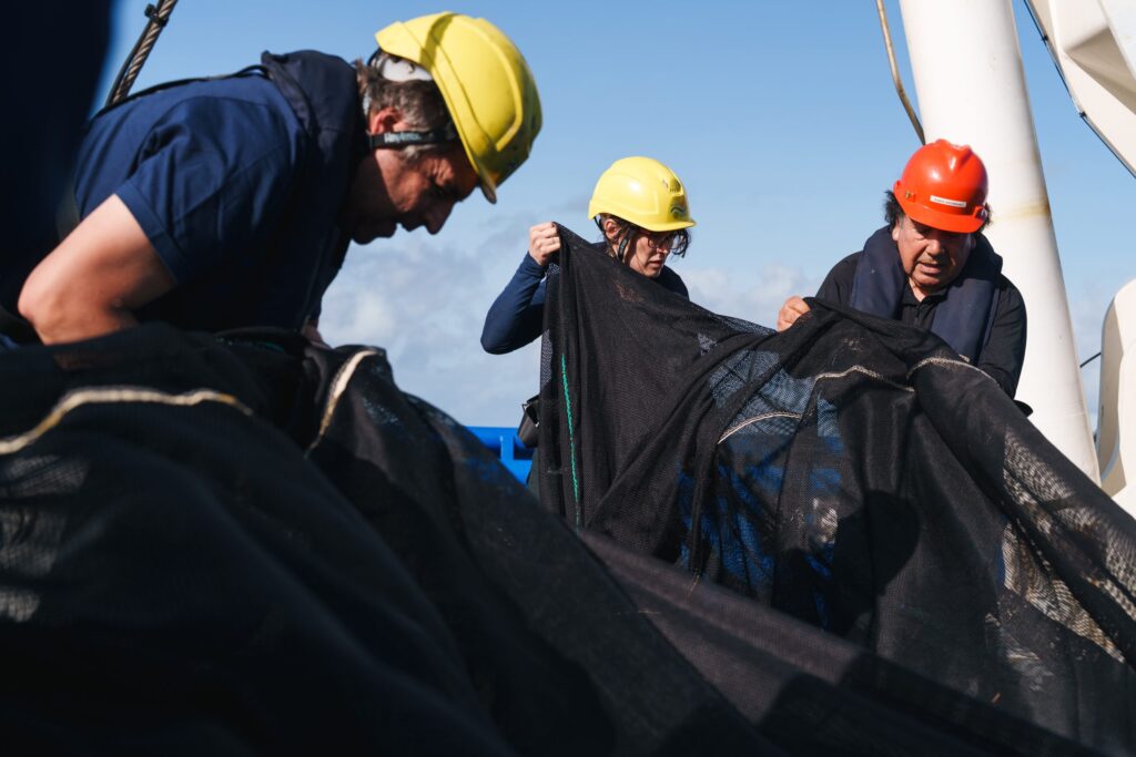 The MOCNESS team prepares the nets ahead of deployment from the research vessel. MOCNESS stands for Multiple Opening/Closing Net and Environmental Sensing System. It is a high-tech version of a traditional sampling net, using environmental sensors that allow scientists to match exact physical and chemical variables in the water column to the samples they collect. This system consists of five individual nets, each of which can be opened and closed independently, allowing sampling across multiple water parcels. 