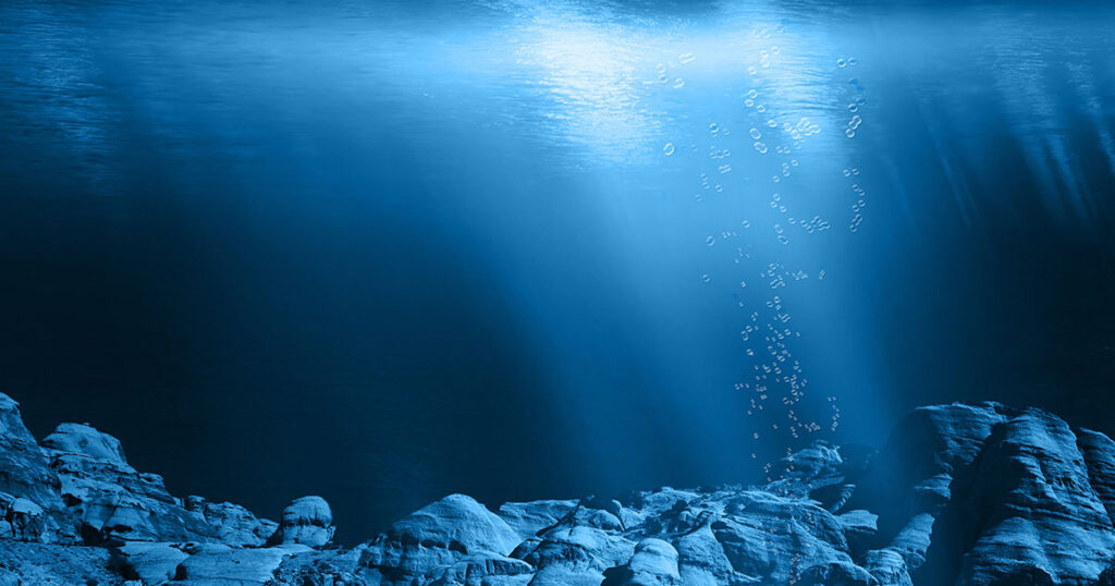 sunbeams shine through the surface onto the seabed