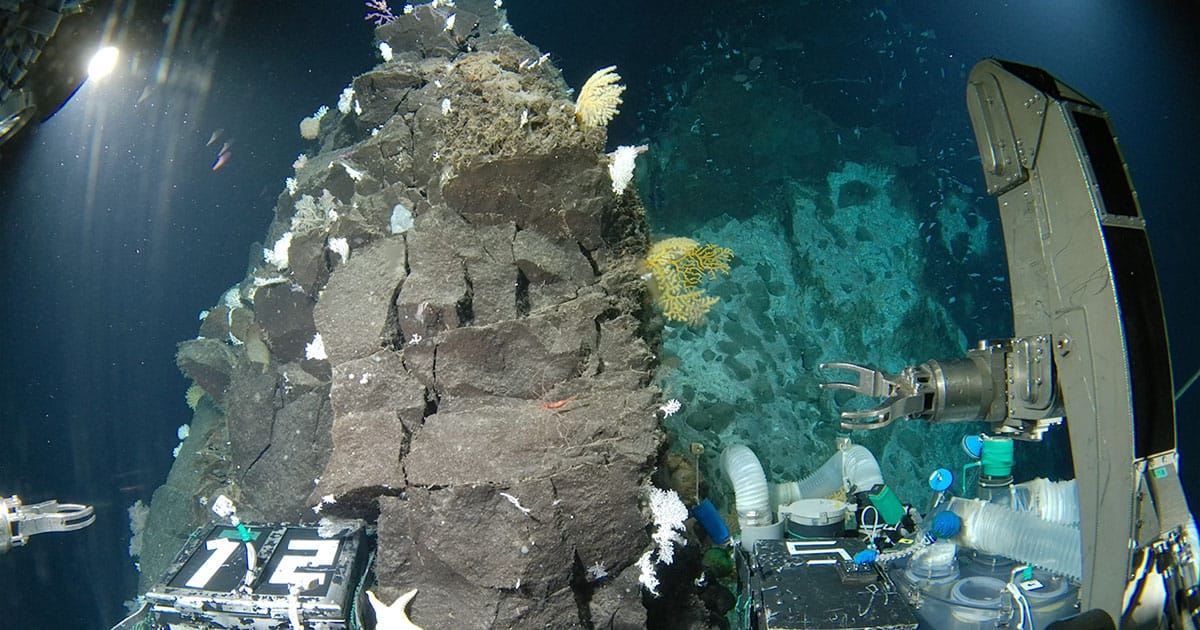 Shinkai 6500 on the Shichiyo Seamounts.