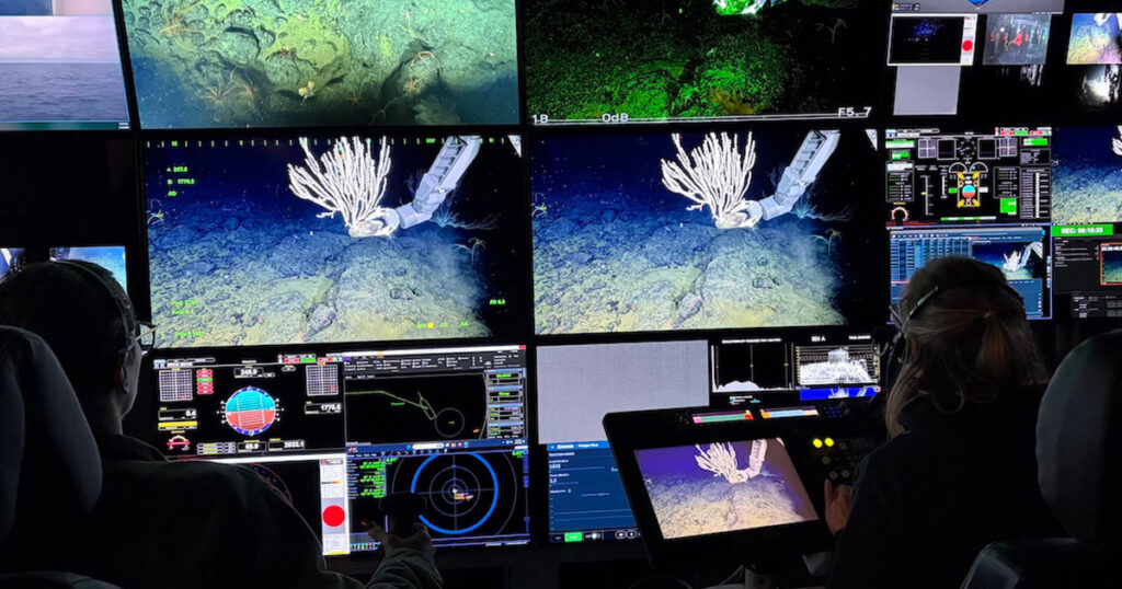 Monterey Bay Aquarium biologists worked alongside MBARI’s skilled submersible pilots to gently collect animals for the Monterey Bay Aquarium’s groundbreaking deep-sea exhibition, Into the Deep/En lo Profundo.