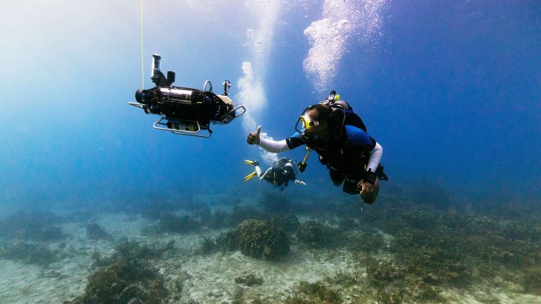 WHOI scientist and WARP Lab lead Yogesh Girdhar tests the CUREE (Curious Underwater Robot for Ecosystem Exploration) autonomous underwater vehicle in the US Virgin Islands in November 2021. Members of the WARP Lab designed CUREE to navigate and sense complex coral reef environments autonomously to identify biodiversity hotspots. 