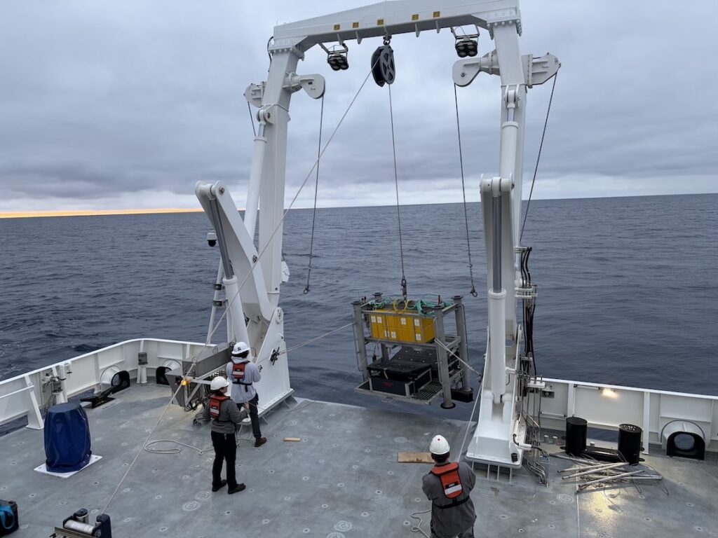 MBARI engineers developed an “elevator” to facilitate collections of larger animals. After the R/V David Packard crew deploys the elevator, MBARI’s submersible pilots can gently transfer animals into large drawers.