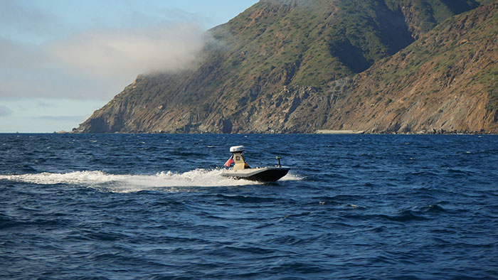 Catalina