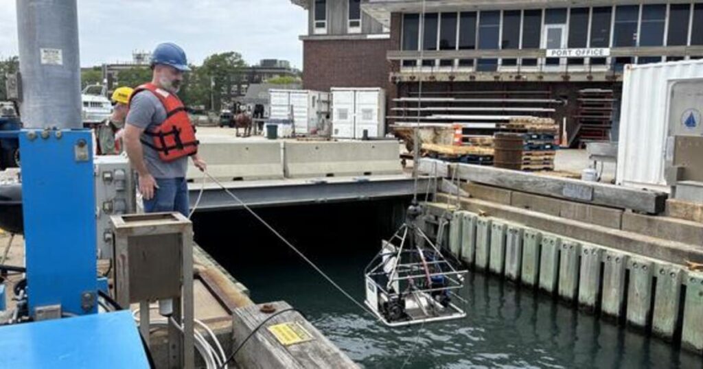 equipment being lowered into the water by people on a dock