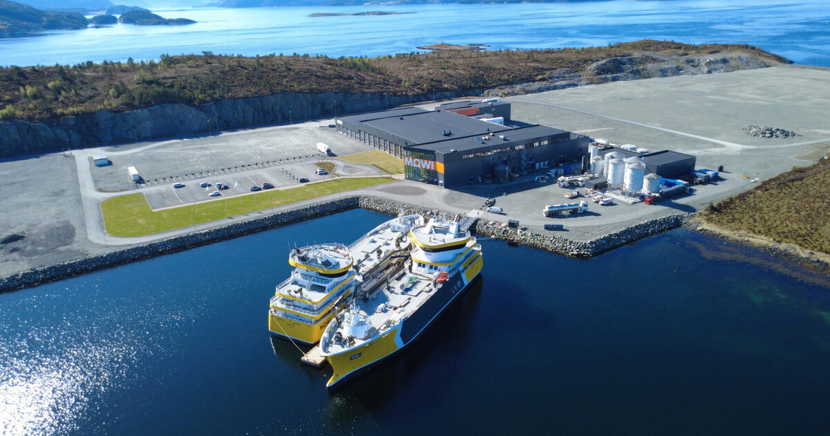 Tautiki and Tauroa at MOWI’s processing facility on Jøsnøya.