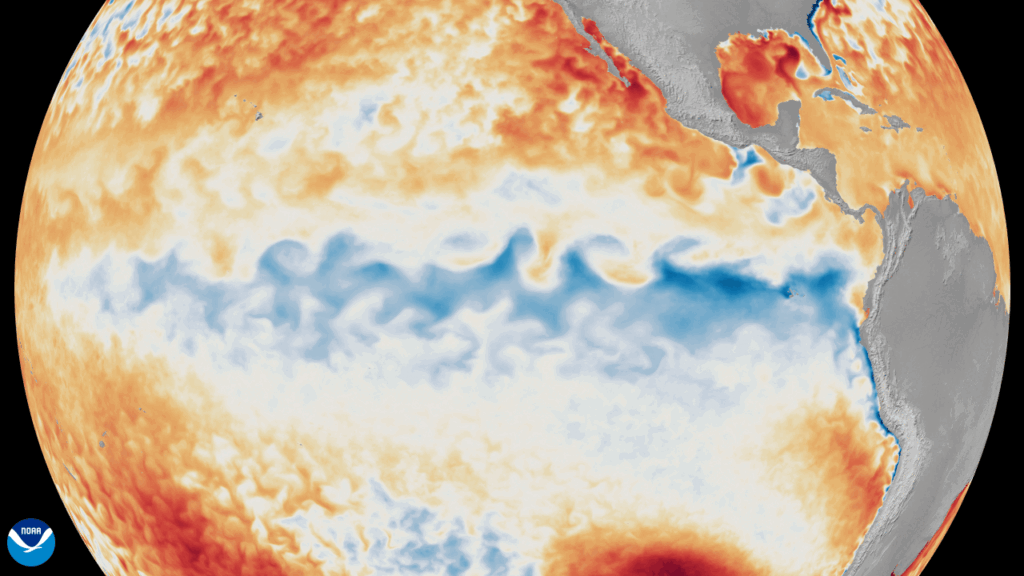 An animation of the change in sea surface temperature departures from average in the tropical Pacific Ocean, from January 1 through June 8, 2026. 
