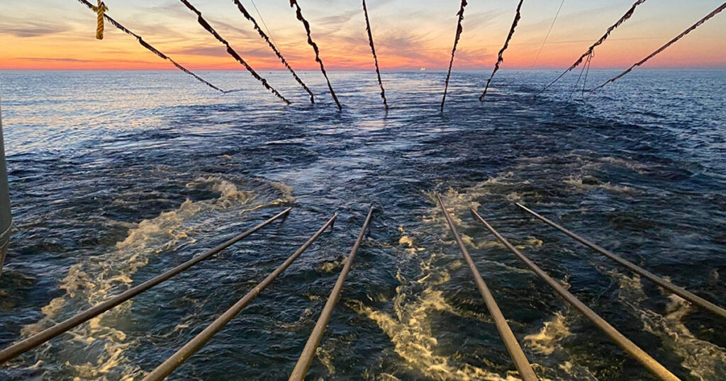 Marine Acquisition Survey Methods