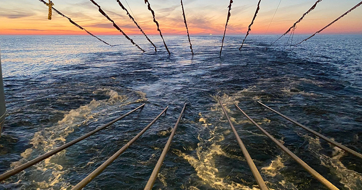 Marine Acquisition Survey Methods
