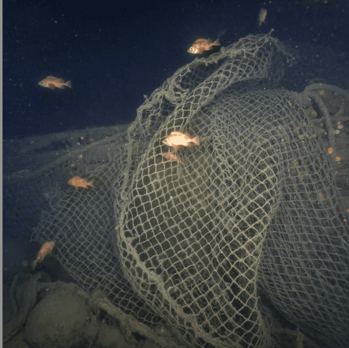 (Image credit: Canadian Geographic and Voyis)