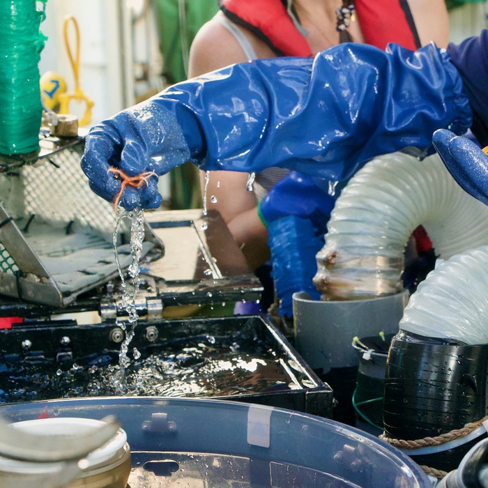 (Image credit: Jack Hogan, The Nippon Foundation-Nekton Ocean Census/JAMSTEC)
