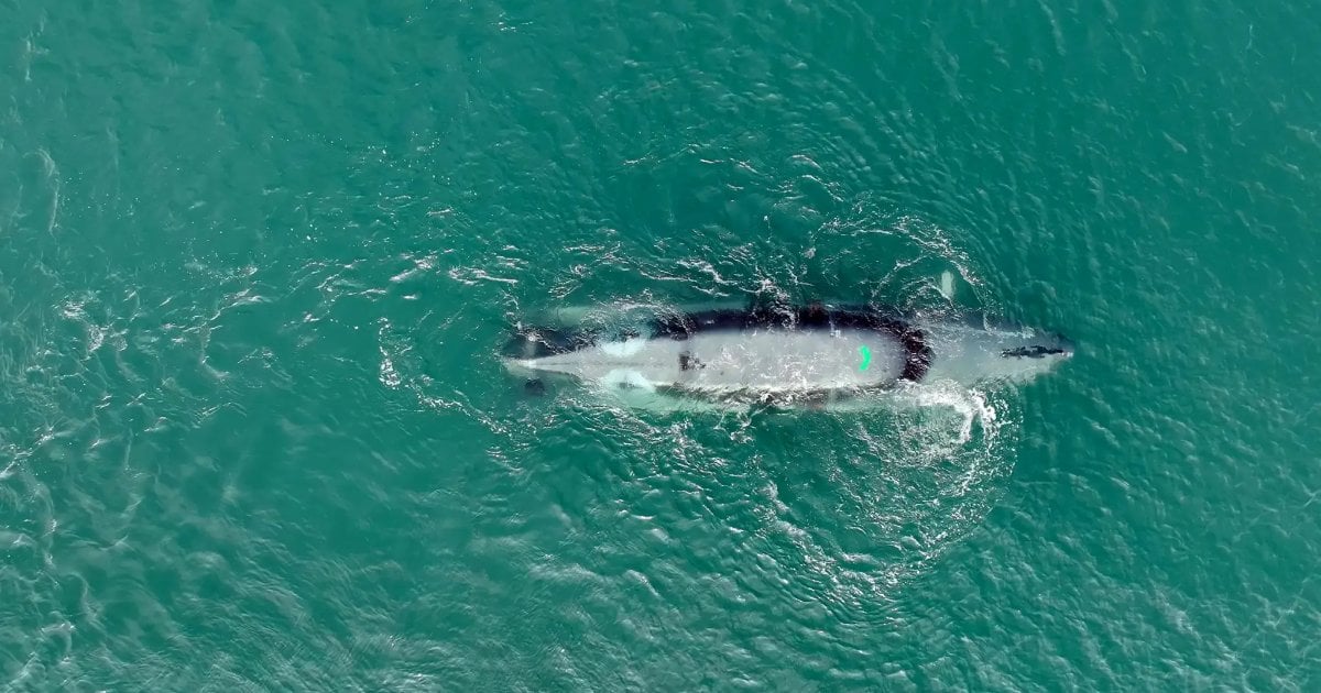 (Image credit: SubSea Craft)