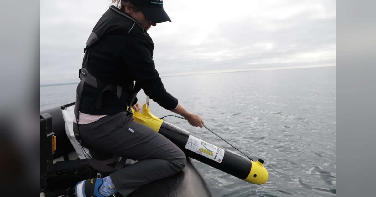 PML’s Dr. Juliane Wihsgott lowering an ecoSUB into the water. (Image credit: PML)