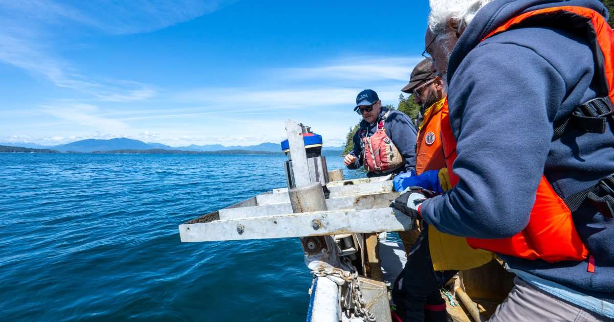 ADCP Mooring designed as part of the field school being deployed in Barkley Sound. (Credit: ASL/Katherine KY Cheng )