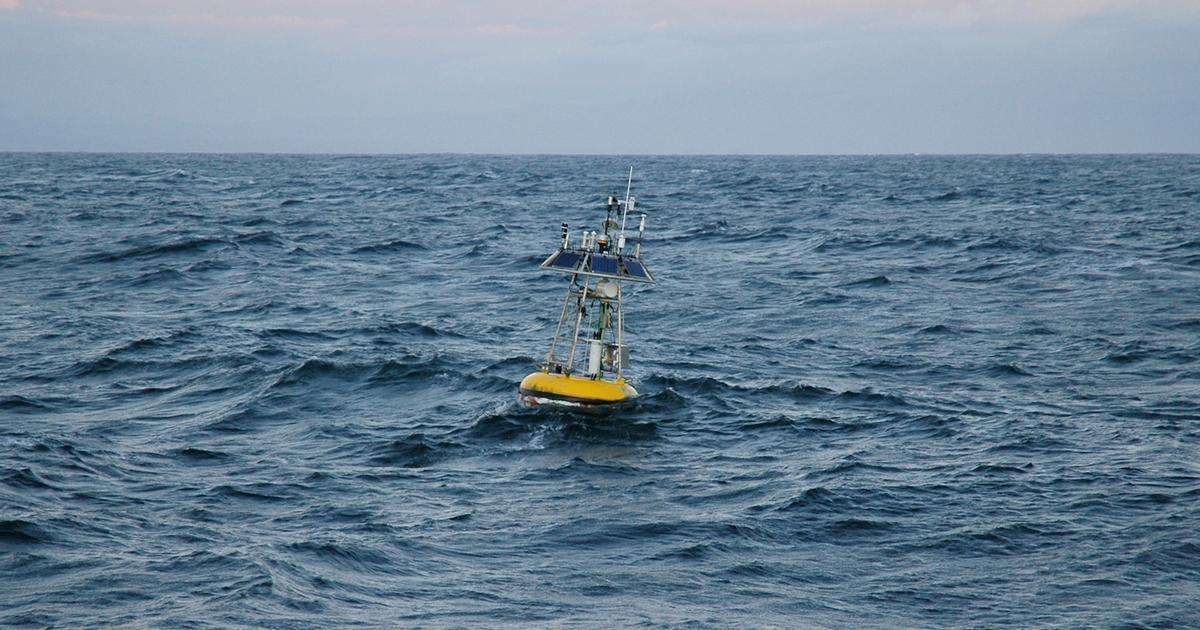 MBARI technology continuously monitors conditions in Monterey Bay and across Central California waters. The M1 mooring anchored over the mouth of Monterey Canyon has recorded an anomalous influx of warm water, an indication of the arrival of El Niño. (Image credit: Todd Walsh, MBARI)