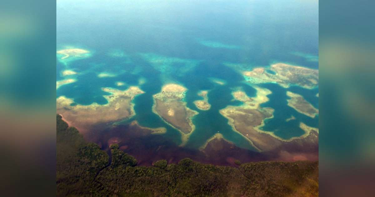 Coastline of (North) Sulawesi, Indonesia: Coral reefs, mangrove forests, and seagrass beds are closely interconnected and together form a “tropical triad” of coastal ecosystems. (Credit: Sebastian Ferse, ZMT)