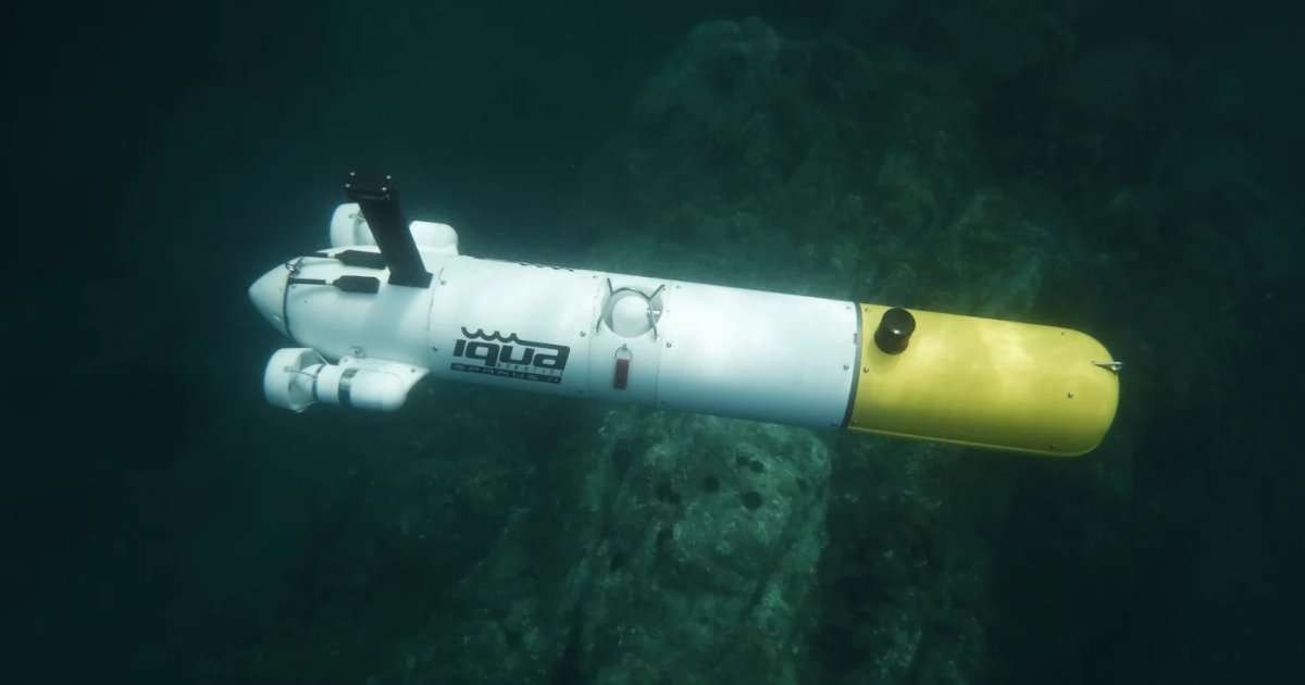(Credit: IQUA Robotics)
