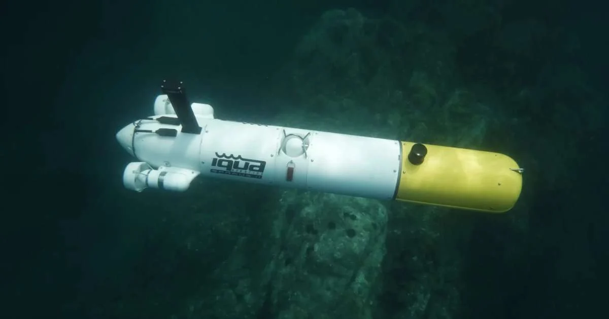(Credit: IQUA Robotics)